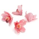 Orchidea fej 20db/csomag rózsaszín - OKOSÁR!