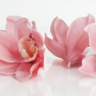 Orchidea fej 20db/csomag rózsaszín - OKOSÁR!