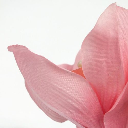 Orchidea fej 4db/csomag rózsaszín