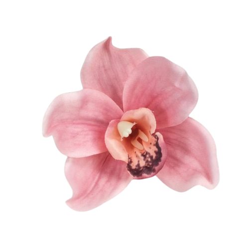 Orchidea fej 4db/csomag rózsaszín