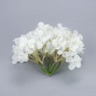 Hortenzia fej fehér