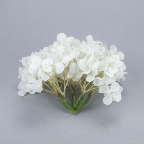 Hortenzia fej fehér