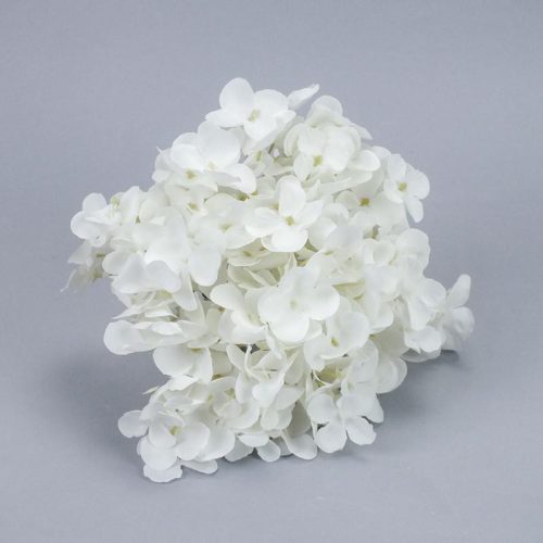 Hortenzia fej fehér