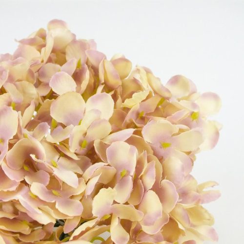 Hortenzia fej vanília álom