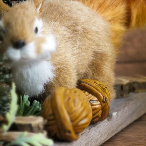 Dió 50db/csomag - OKOSÁR!