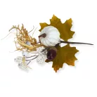 Tökös - makkos pick ág