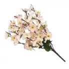 9 ágú barackvirág csokor halvány rózsaszín