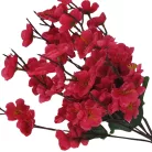 9 ágú barackvirág csokor magenta