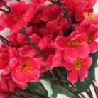 9 ágú barackvirág csokor magenta