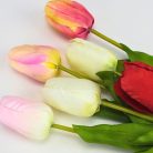 Szálas tulipán magenta - sárga