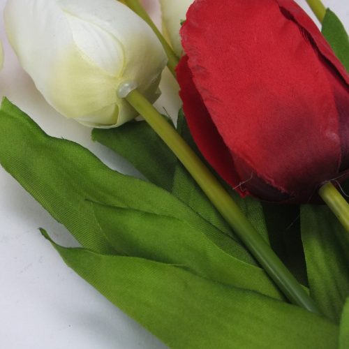 Szálas tulipán magenta - sárga