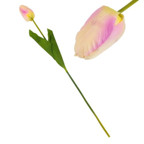 Szálas tulipán sárga - halvány-rózsaszín
