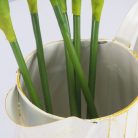 Szálas tulipán sárga - halvány-rózsaszín