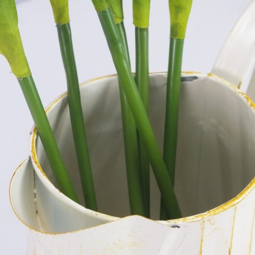 Szálas tulipán sárga - halvány-rózsaszín