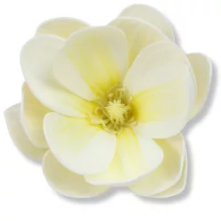  Magnólia fej polifoam krém