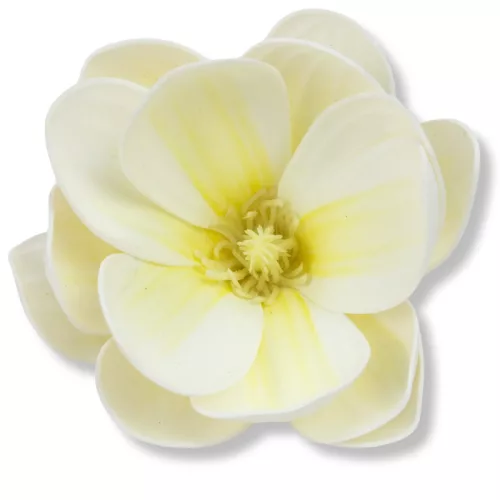  Magnólia fej polifoam krém