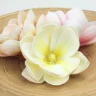  Magnólia fej polifoam krém