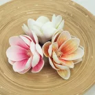  Magnólia fej polifoam krém