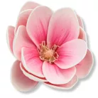  Magnólia fej polifoam magenta