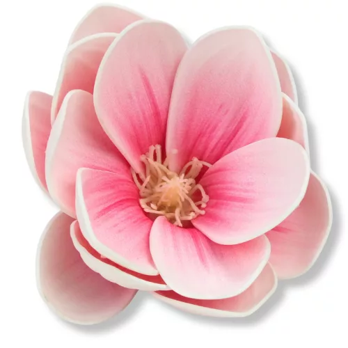  Magnólia fej polifoam magenta