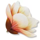  Magnólia fej polifoam narancs