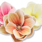  Magnólia fej polifoam narancs