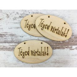   Natúr fa - "Téged vártalak!" ovál tábla 5,5x9cm 3db/csomag
