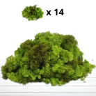 Izlandi zuzmó 500 g - almazöld