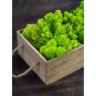 Izlandi zuzmó 500 g - almazöld