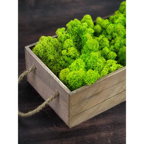 Izlandi zuzmó 500 g - almazöld