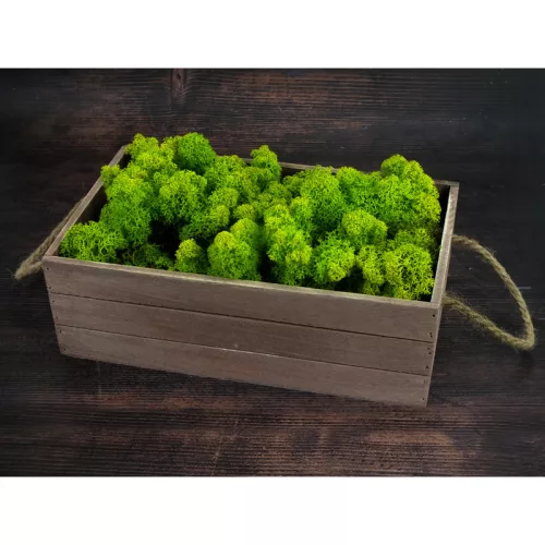 Izlandi zuzmó 500 g - almazöld