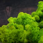 Izlandi zuzmó 500 g - almazöld