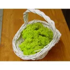 Izlandi zuzmó 500 g - almazöld