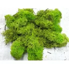 Izlandi zuzmó 500 g - almazöld