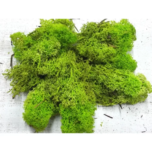 Izlandi zuzmó 500 g - almazöld