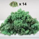 Izlandi zuzmó, moha menta 500gr