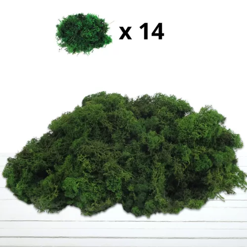 Izlandi zuzmó, moha méregzöld 500gr