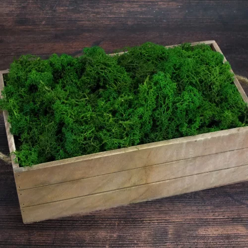 Izlandi zuzmó, moha méregzöld 500gr