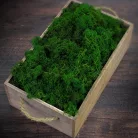 Izlandi zuzmó, moha méregzöld 500gr