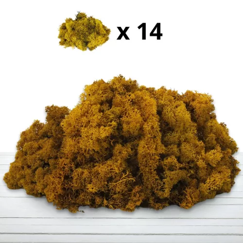 Izlandi zuzmó, moha sárga 500gr