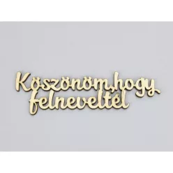   Natúr fa - "Köszönöm, hogy felneveltél" felirat 4x15cm