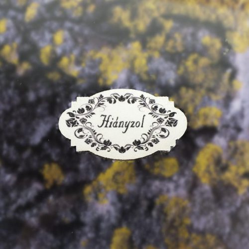 Nyomtatott dekorkarton - hiányzol 5db/cs