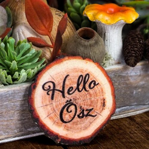 Nyomtatott dekorkarton - Hello Ősz fakorong 5db/csomag