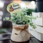 Nyomtatott fa tábla - Tanár úrnak táblák 5db