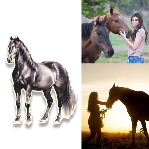 Nyomtatott dekorkarton - Ló 12cm - fekete