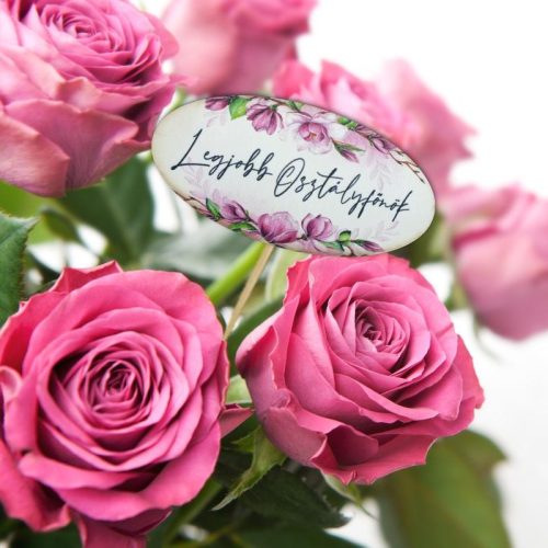 Nyomtatott dekorkarton - Legjobb osztályfőnök ovál tábla 3db