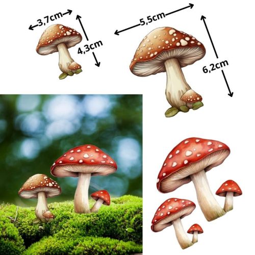 Nyomtatott dekorkarton - Vegyes gomba szett 4db/cs