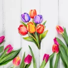 Nyomtatott dekorkarton - 6 szálas színes tulipáncsokor 1db