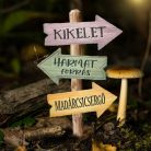 Nyomtatott dekorkarton - Tavaszi útjelző tábla 2db