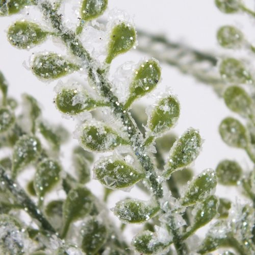 12 ágú levél pick havas zöld